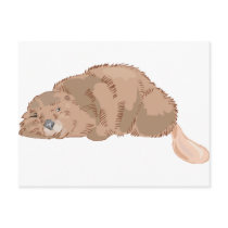 Beaver Post Cards