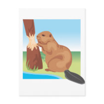 Beaver Postcard