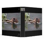 beaver reflection binders