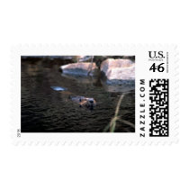 Beaver Stamps Postage Stamps