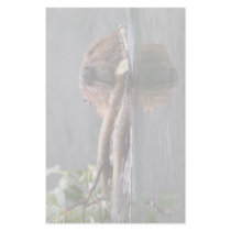 beaver stationery design