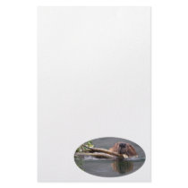 Beaver Personalized Stationery