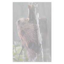 beaver custom stationery