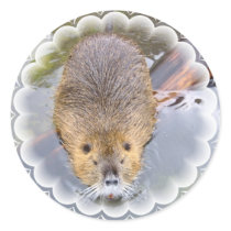 Beaver Stickers