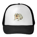 Beaver Trucker Hat