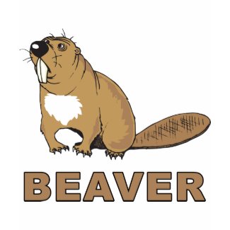Beaver shirt