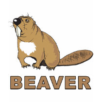 Beaver t-shirts