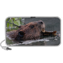 beaver working portable speakers