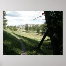 Beaverponds Trail, Yellowstone Posters