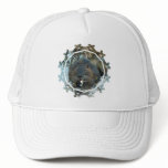 Beavers Habitat Baseball Hat