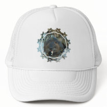 Beavers Habitat Baseball Hat