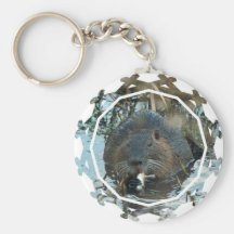 Beavers Habitat Keychain