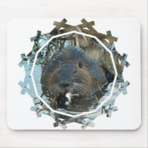 Beavers Habitat Mouse Pad