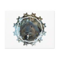 Beavers Habitat Postcard