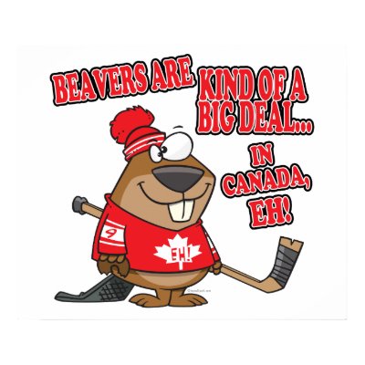 beavers kind of big deal in canada print by tooni_dooni