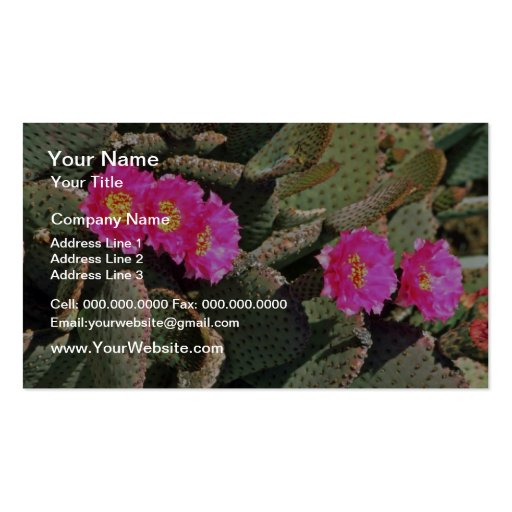 Beavertail Cactus flowers Business Cards (front side)