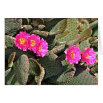 Beavertail Cactus flowers Card