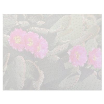 Beavertail Cactus flowers Custom Letterhead by blueyellowtube