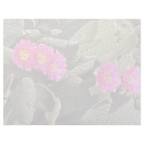 Beavertail Cactus flowers Custom Letterhead