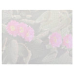 Beavertail Cactus flowers Custom Letterhead