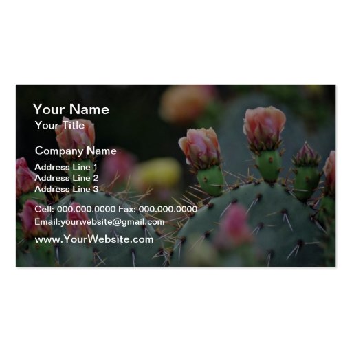 Beavertail Cactus Pink flowers Business Card Templates