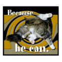 Because He Can posters by geekboy Because He Can posters