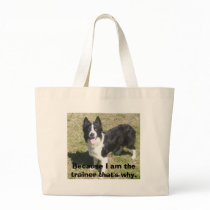 Because I am the trainer that's why. bags