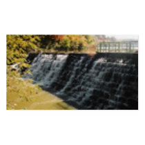 BECAUSE I GIVE A DAM profile cards by VIKINGJIM BECAUSE I GIVE A DAM profile cards