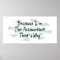 Because I'm the Accountant Poster