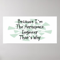 Because I'm the Aerospace Engineer Print