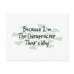 Because I'm the Chiropractor Post Card