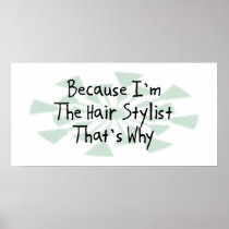 Because I'm the Hair Stylist Posters