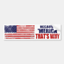 BECAUSE 'MERICA THAT'S WHY Bumper Sticker