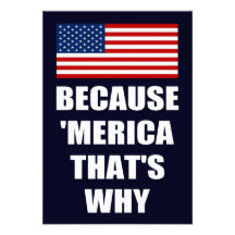 Because 'MERICA That's Why Patriotic Party Invites