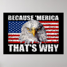 BECAUSE 'MERICA THAT'S WHY US Flag Poster (large)