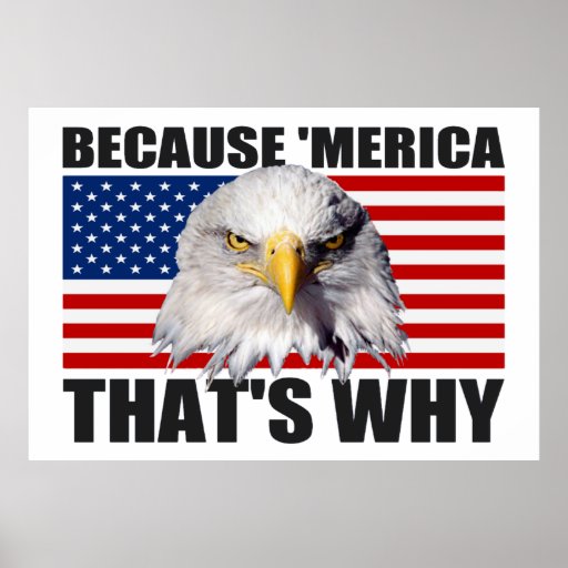 because_merica_thats_why_us_flag_poster_
