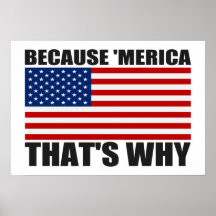 BECAUSE 'MERICA THAT'S WHY US Flag Poster (small)