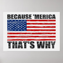 BECAUSE 'MERICA THAT'S WHY US Flag Poster (small)