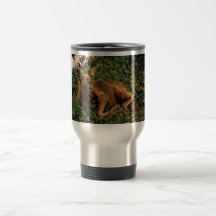 Becerro de los alces tazas de café
