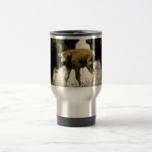 Becerro del bisonte tazas
