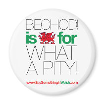 BECHOD! magnets by SSIWelsh BECHOD! magnets