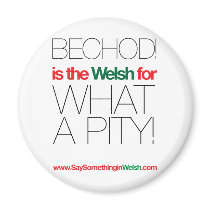 BECHOD! magnets by SSIWelsh BECHOD! magnets