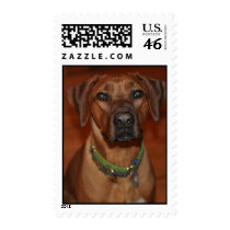 Beckett Stamps