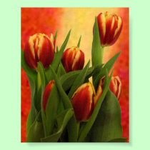 Becky's Tulips Greenville SC The MUSEUM Zazzle. posters