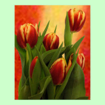 Becky's Tulips Greenville SC The MUSEUM Zazzle. posters