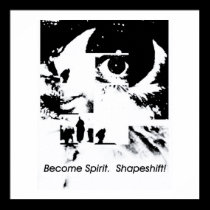 Become Spirit.  Shapeshift! posters