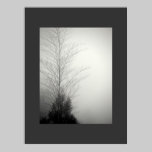 Becoming One/ Poster posters