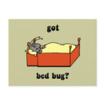 Bed bugs post card