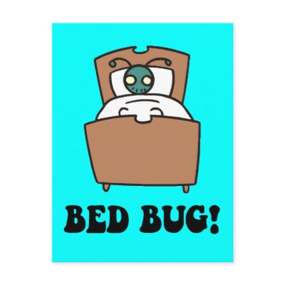 bed bugs postcards by funnytshirtsboutique