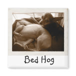 "Bed Hog" Magnet